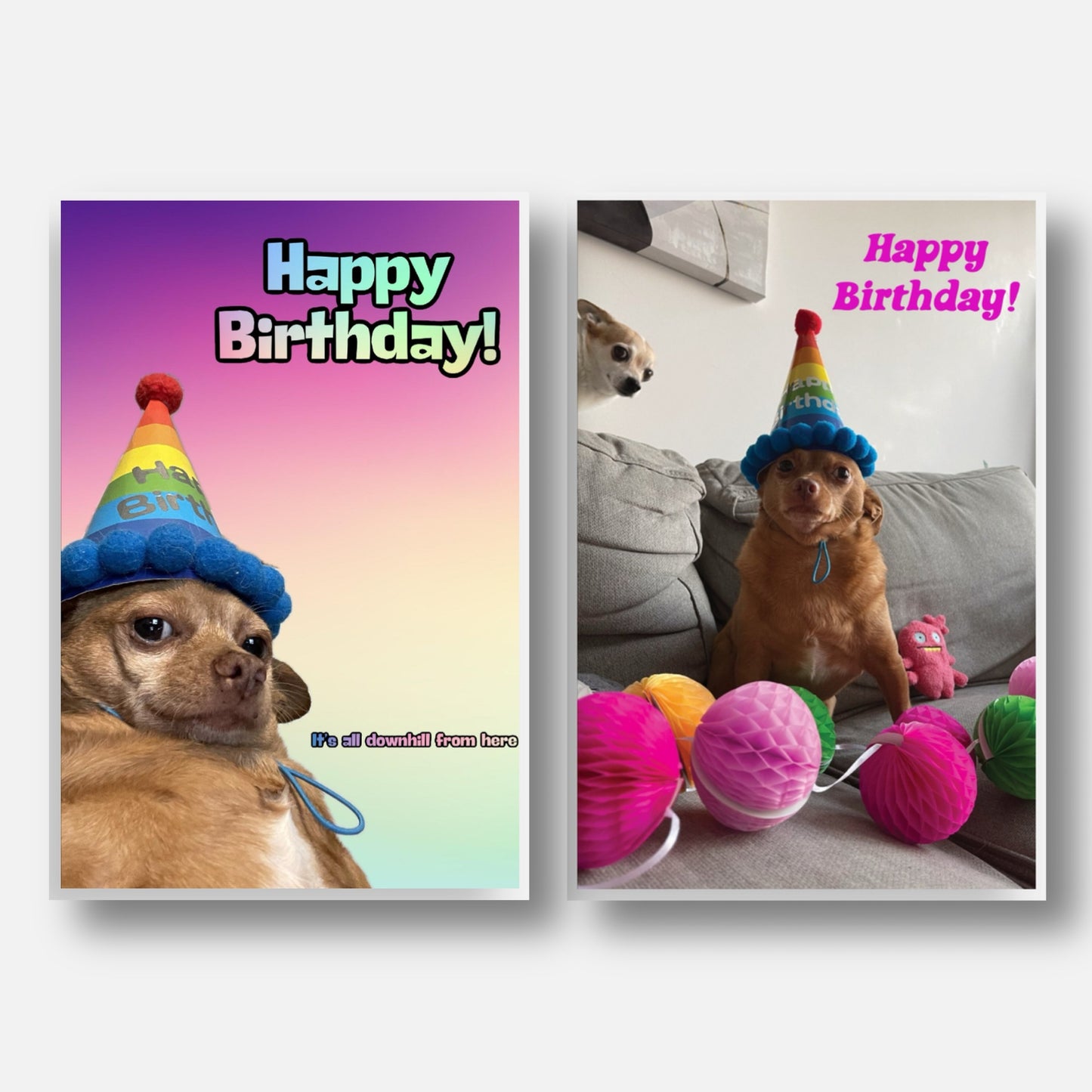 "Birthday" Pawtograph