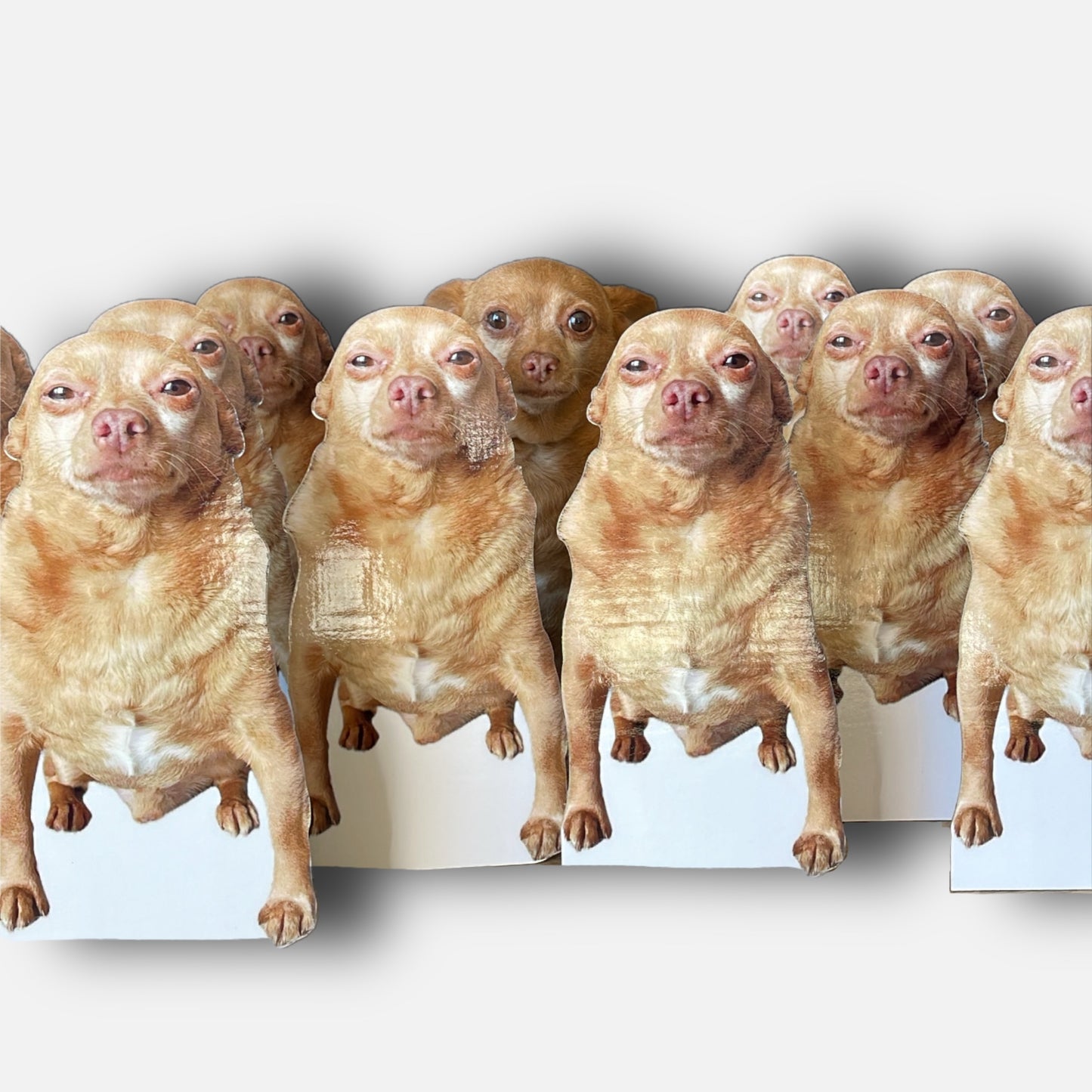 Cheddar Lifesize Cardboard Cutout