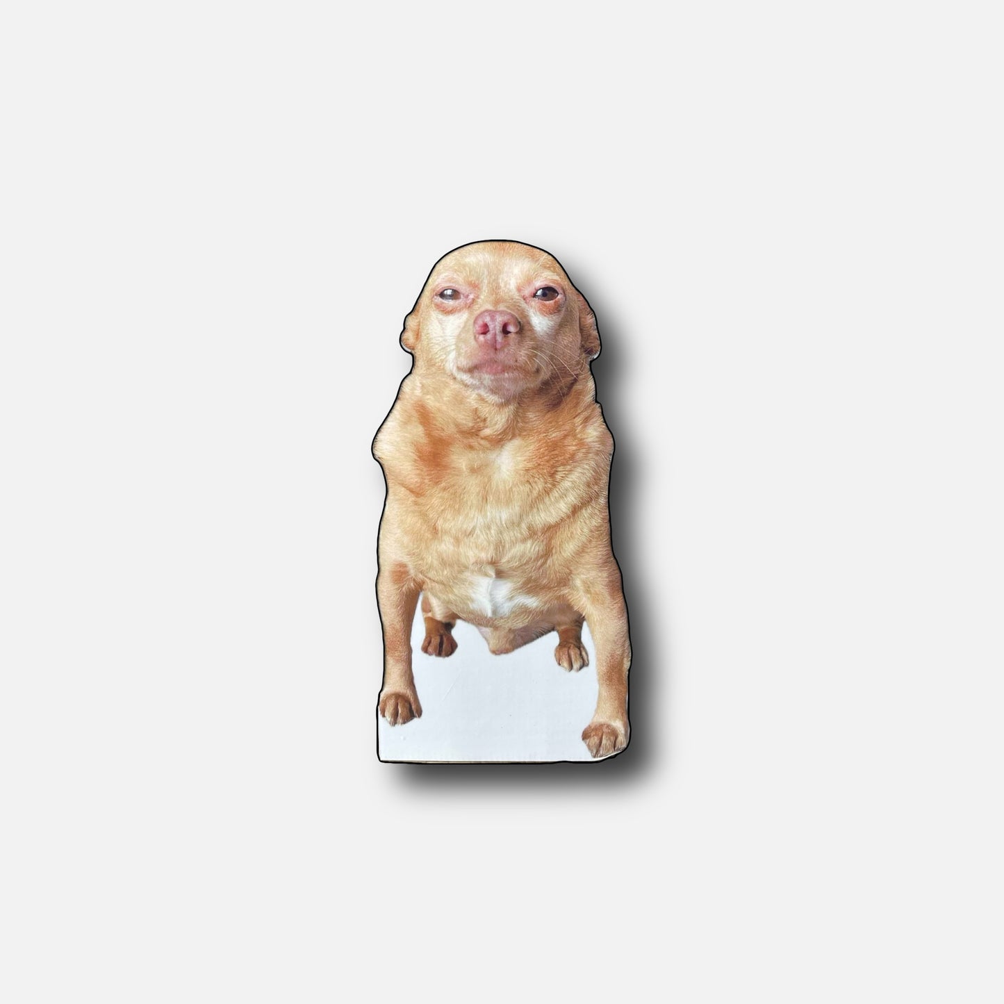 Cheddar Lifesize Cardboard Cutout