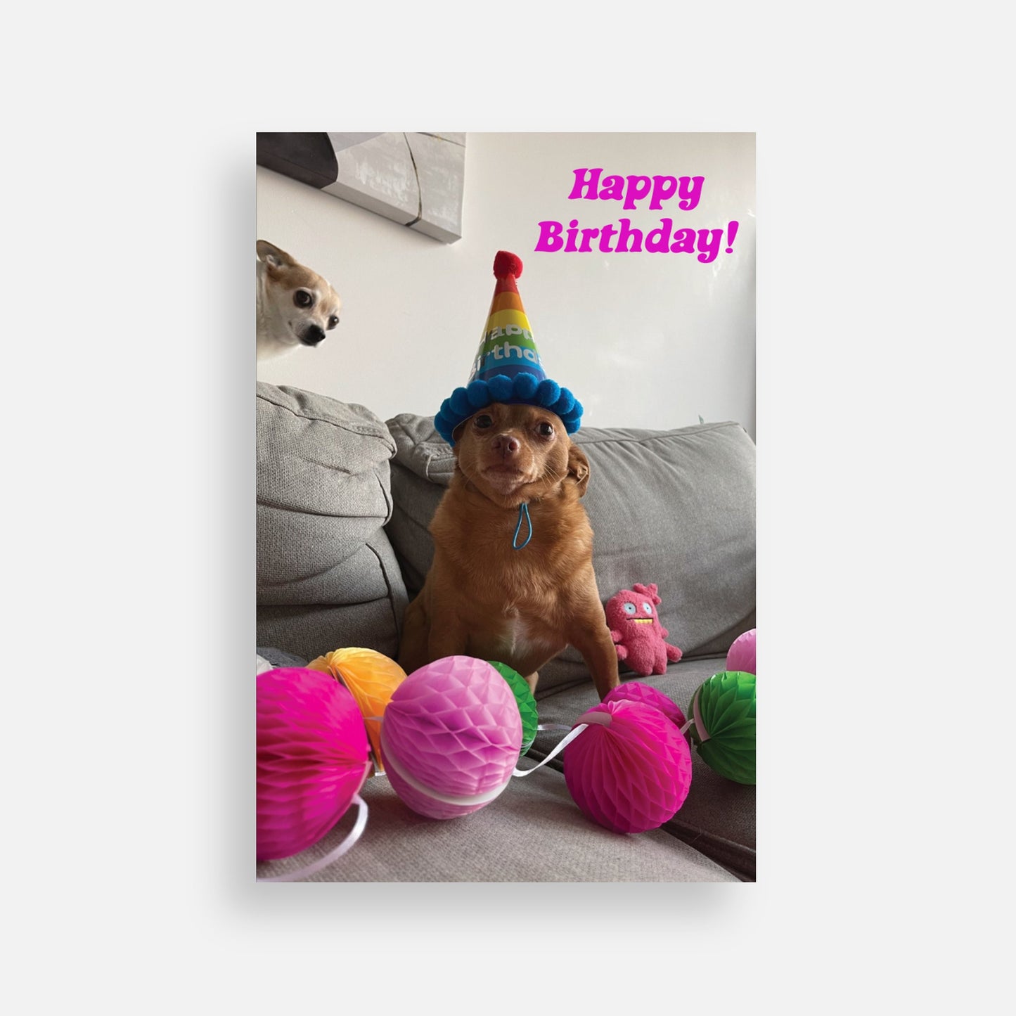 "Birthday" Pawtograph