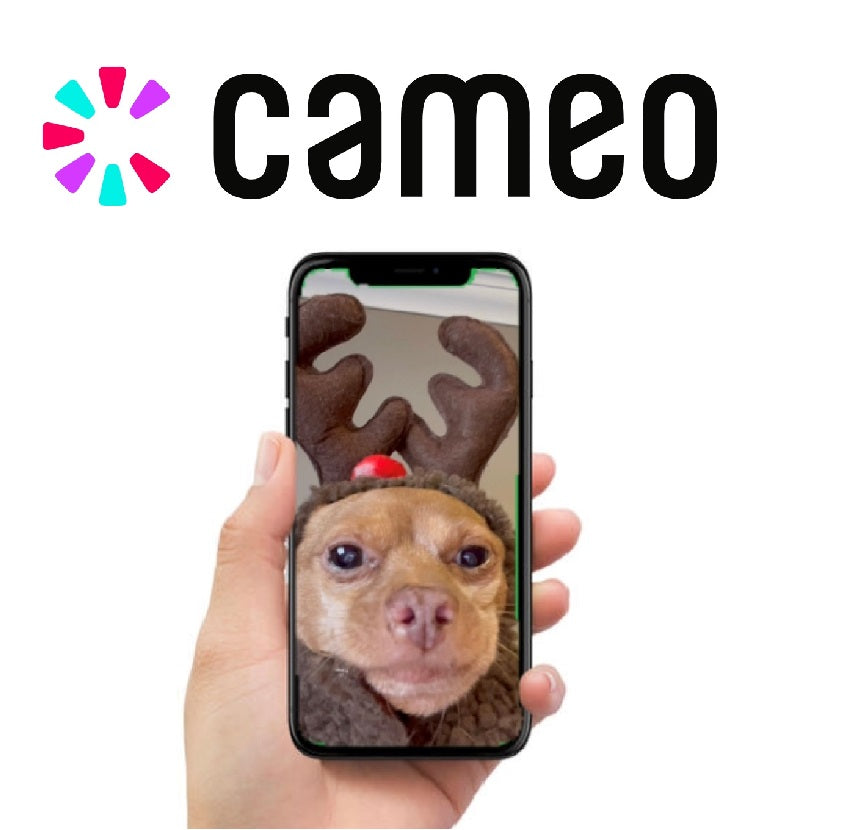 Cheddar Personalized Video / Cameo