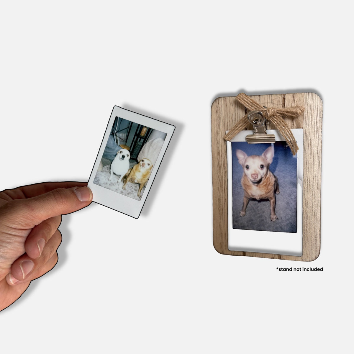 Cheddar Polaroid with display stand