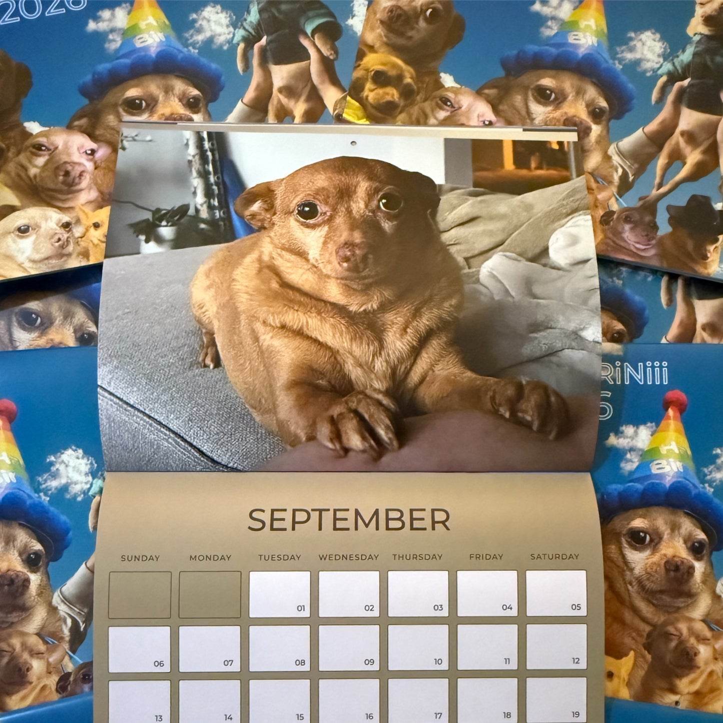 Cheddar 2026 Calendar