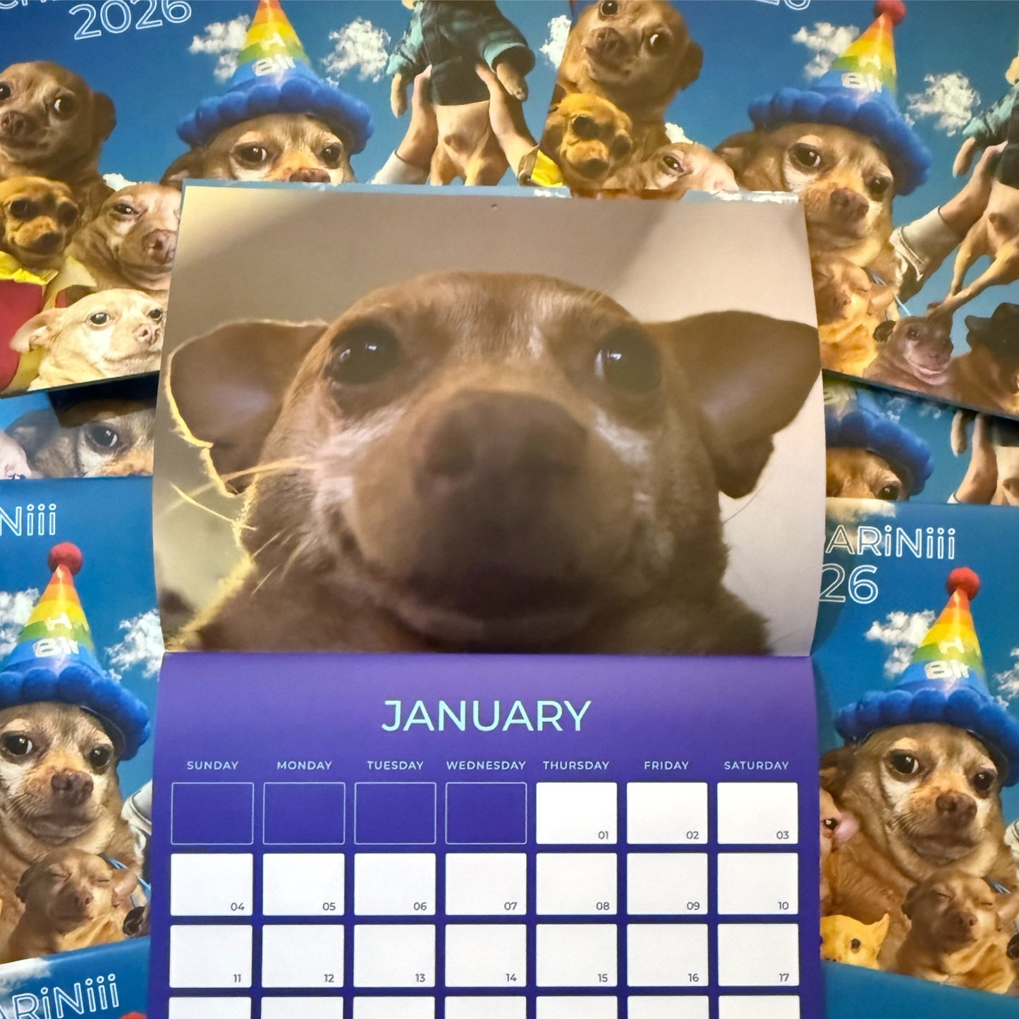 Cheddar 2026 Calendar